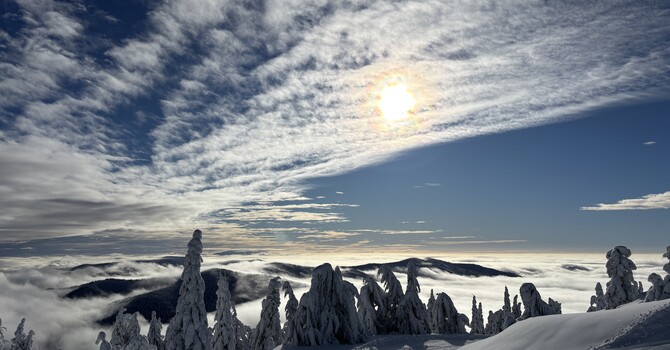 Understanding Concussions: Comprehensive Care in Coeur d'Alene, Idaho image